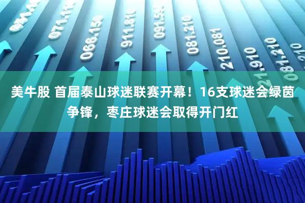 美牛股 首届泰山球迷联赛开幕！16支球迷会绿茵争锋，枣庄球迷会取得开门红