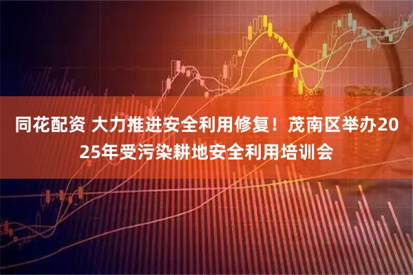 同花配资 大力推进安全利用修复！茂南区举办2025年受污染耕地安全利用培训会
