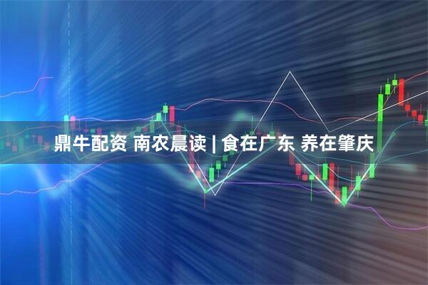 鼎牛配资 南农晨读 | 食在广东 养在肇庆