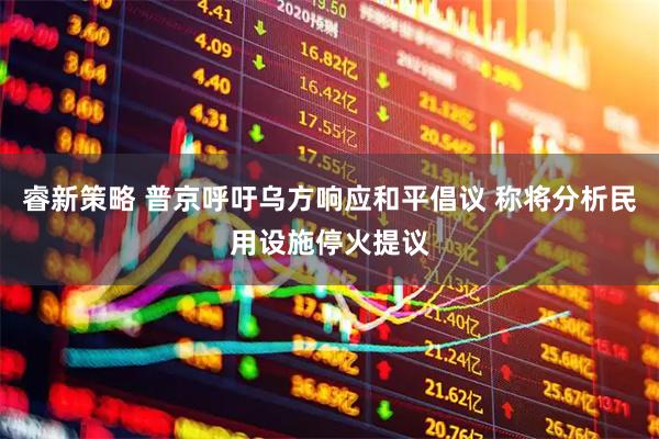 睿新策略 普京呼吁乌方响应和平倡议 称将分析民用设施停火提议