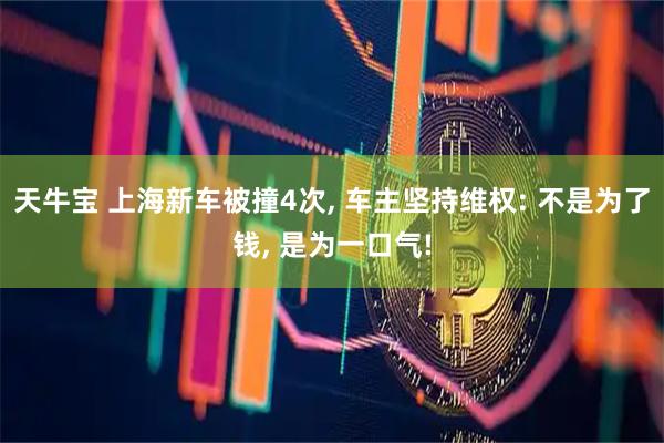 天牛宝 上海新车被撞4次, 车主坚持维权: 不是为了钱, 是为一口气!